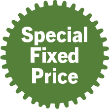 special fixed price icon