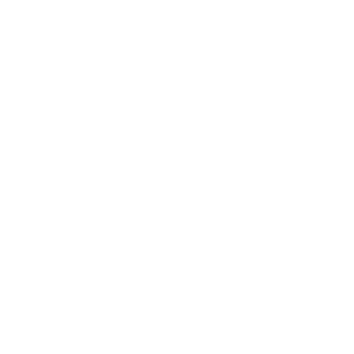 snowflake icon